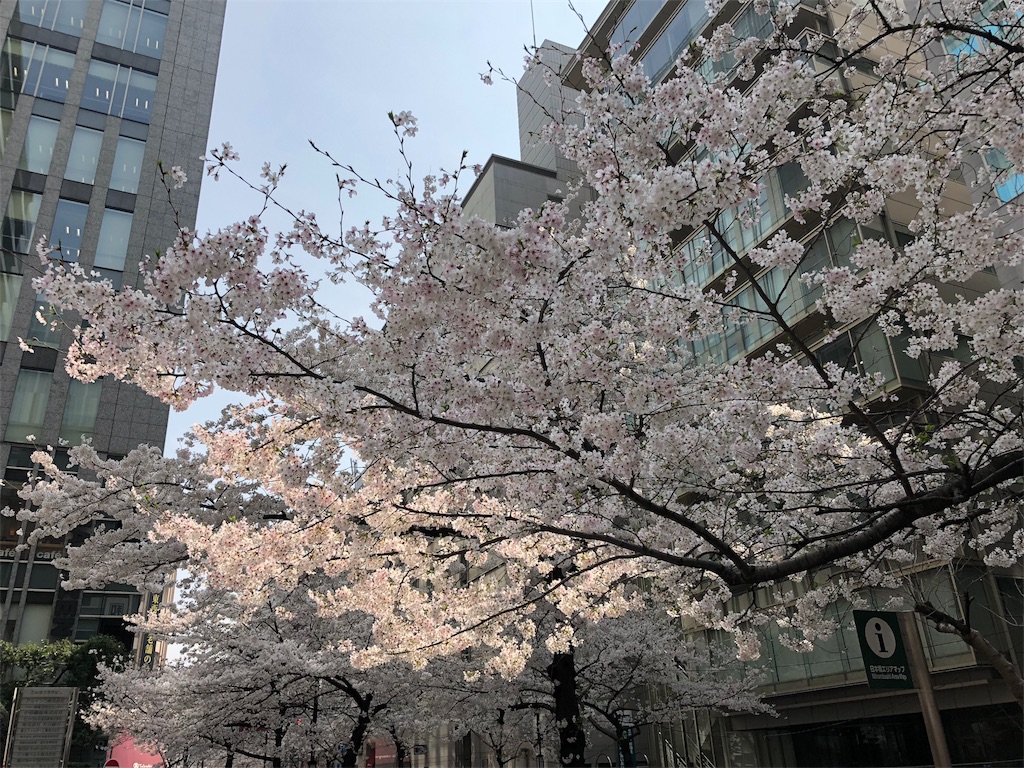 f:id:megmikke:20180404003102j:image f:id:megmikke:20180404003102j:image