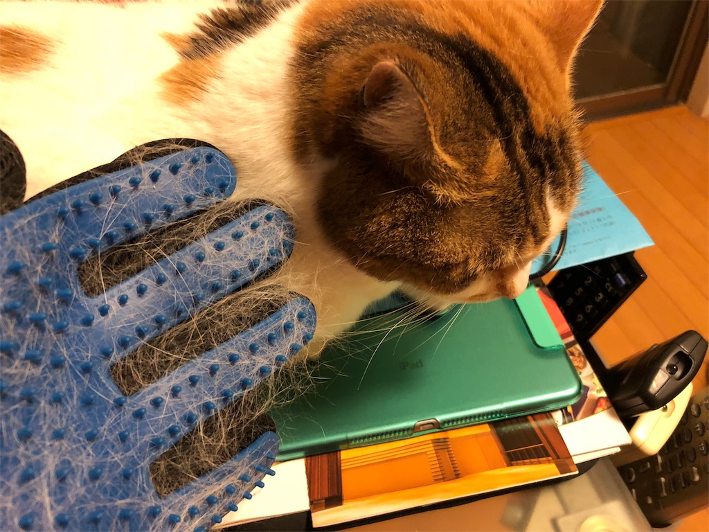 f:id:megmikke:20180501000156j:image