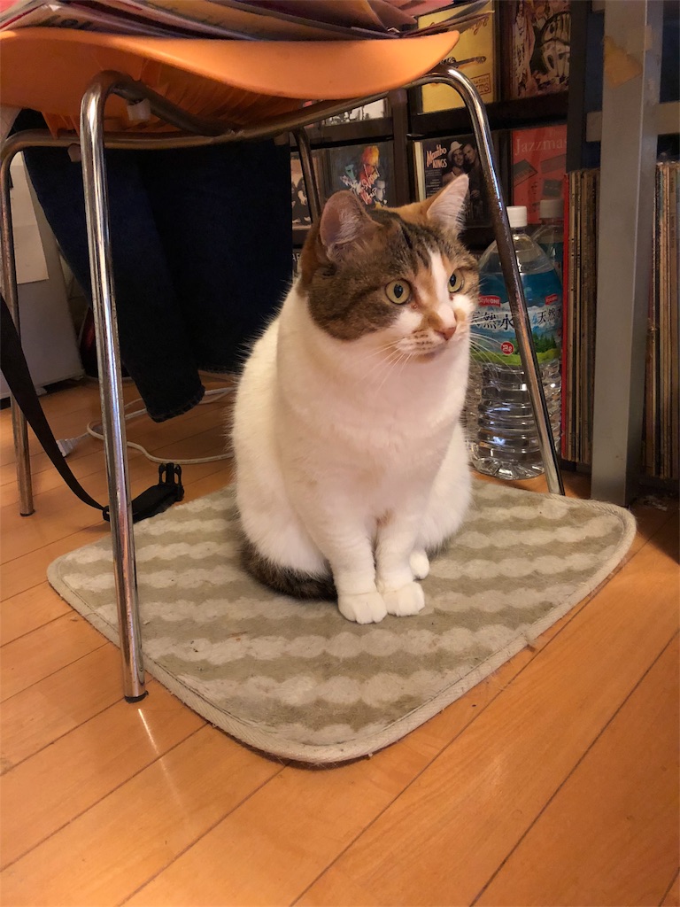 f:id:megmikke:20180604191549j:image