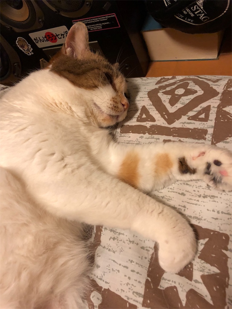f:id:megmikke:20180605001425j:image