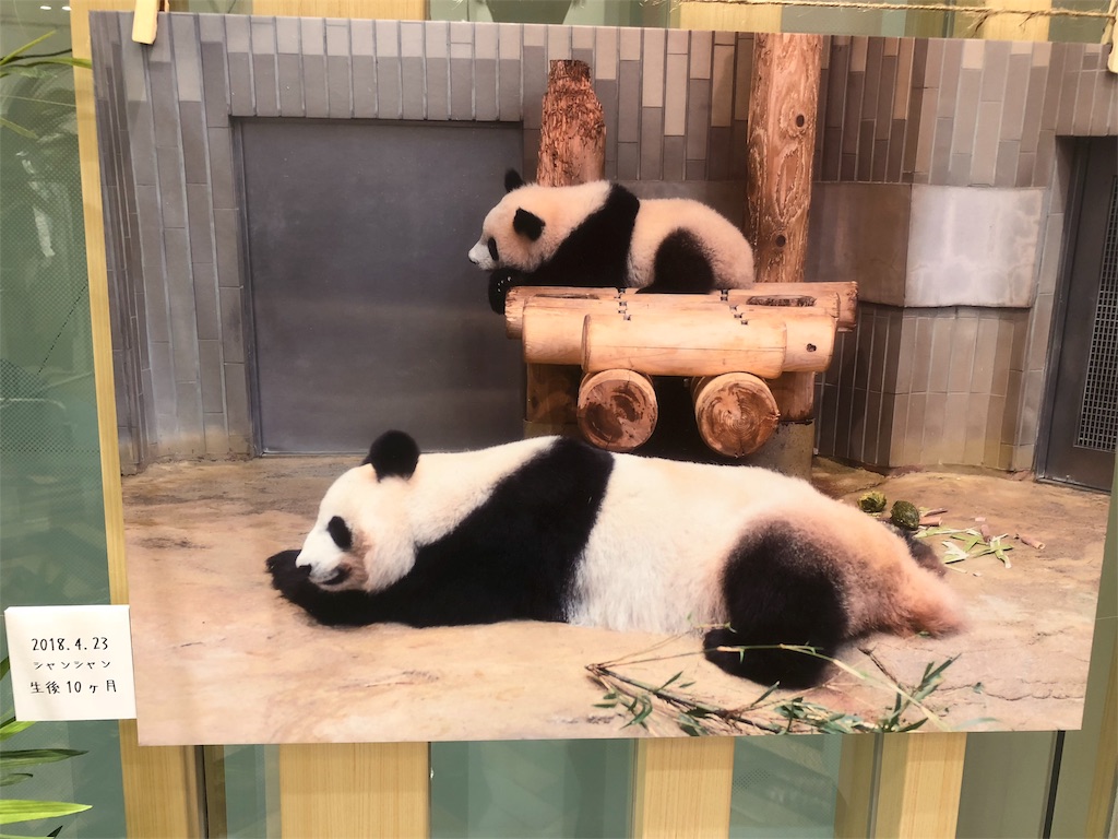 f:id:megmikke:20180614170152j:image