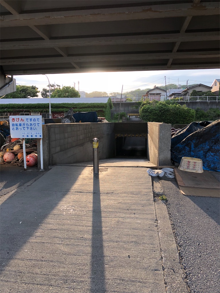 f:id:megmikke:20180818014026j:image