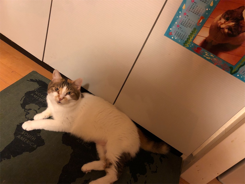 f:id:megmikke:20180911234939j:image