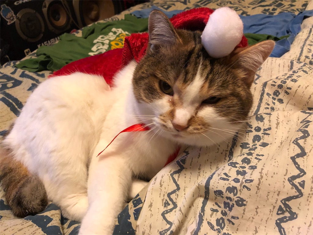 f:id:megmikke:20181219001315j:image