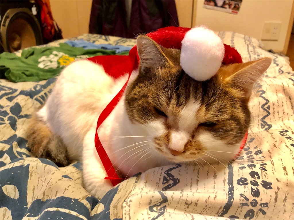 f:id:megmikke:20181219001323j:image
