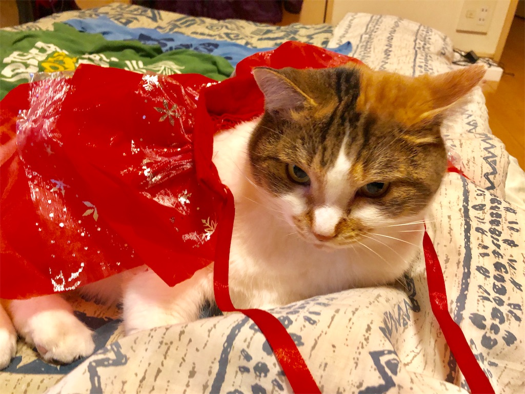 f:id:megmikke:20181219002353j:image