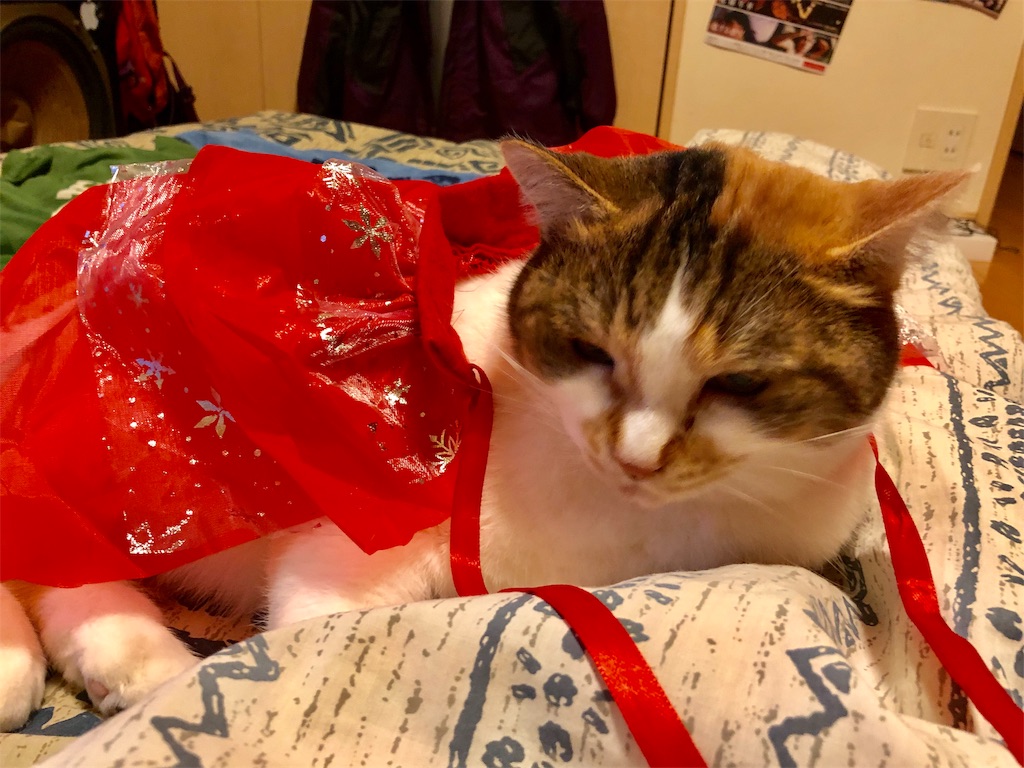 f:id:megmikke:20181219002405j:image