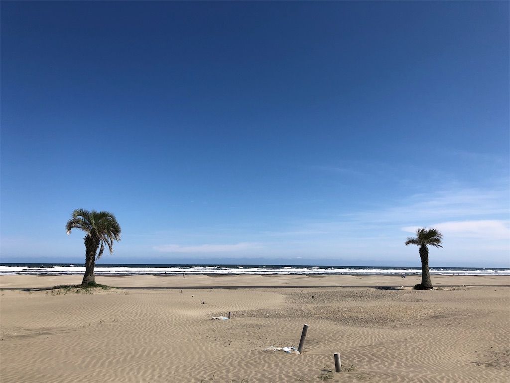 f:id:megmikke:20190102015730j:image