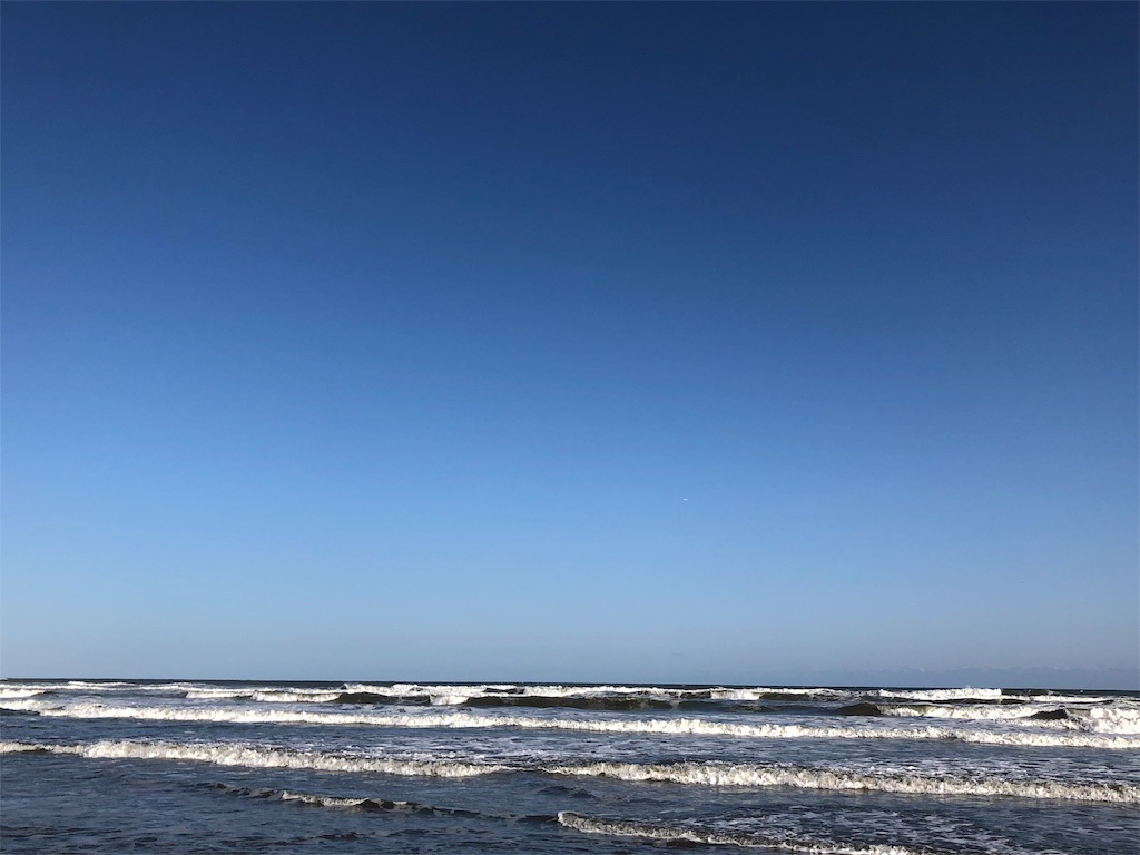 f:id:megmikke:20190102015903j:image