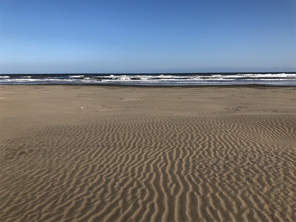 f:id:megmikke:20190102015909j:image