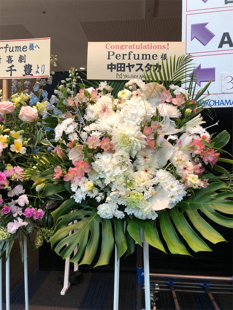 f:id:megmikke:20190111233235j:image