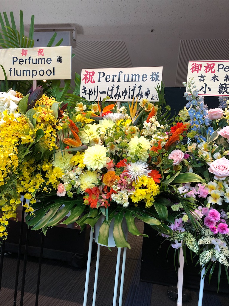 f:id:megmikke:20190111233238j:image