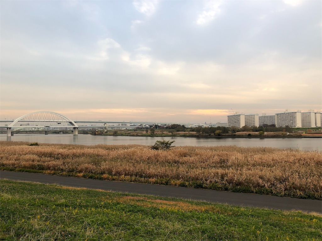f:id:megmikke:20190126003746j:image
