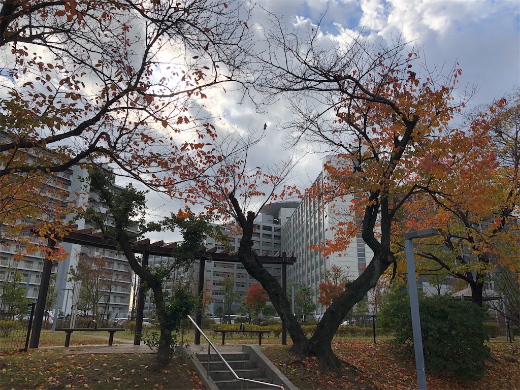 f:id:megmikke:20190126004822j:image