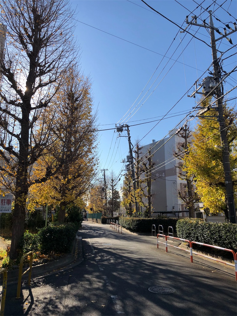 f:id:megmikke:20190126182802j:image
