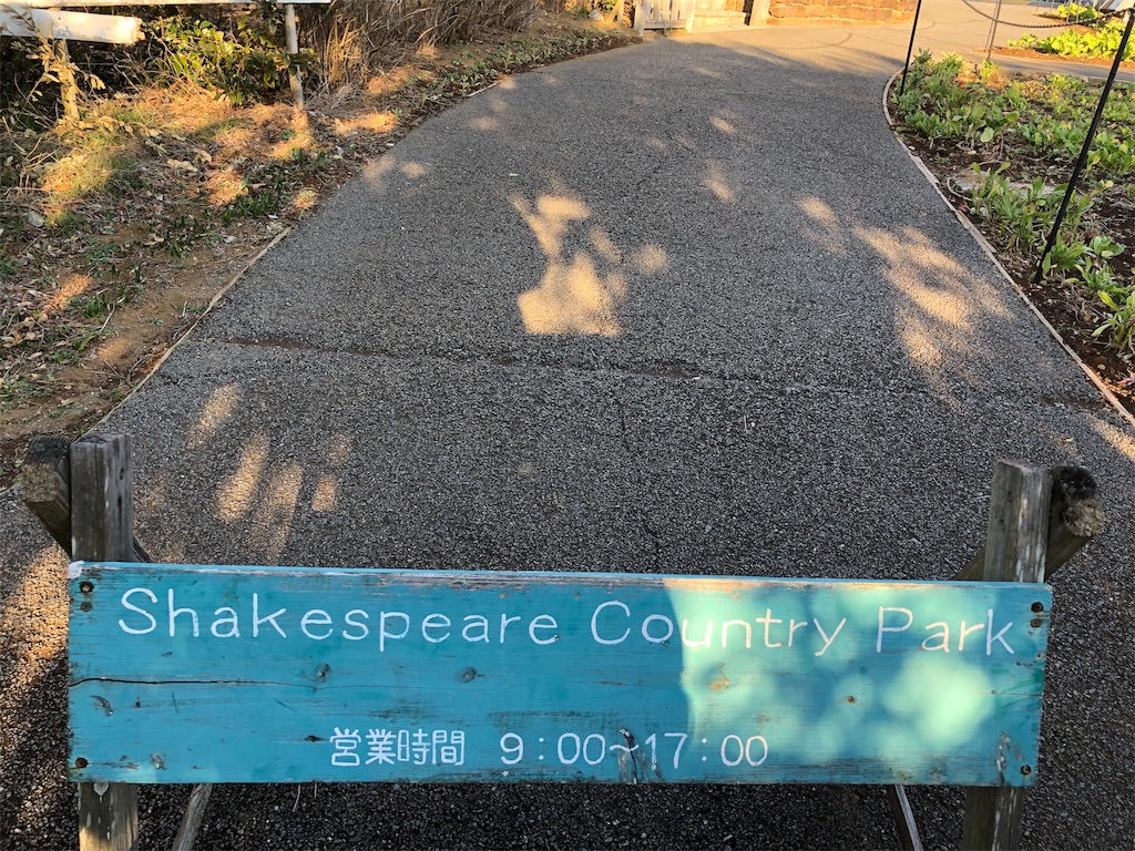 f:id:megmikke:20190128002509j:image f:id:megmikke:20190128002509j:image