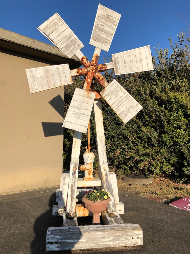 f:id:megmikke:20190128002513j:image f:id:megmikke:20190128002513j:image