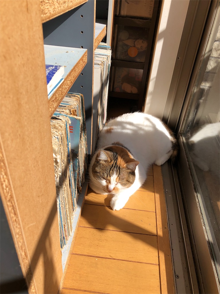 f:id:megmikke:20190227231758j:image