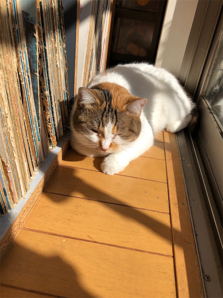 f:id:megmikke:20190227232029j:image