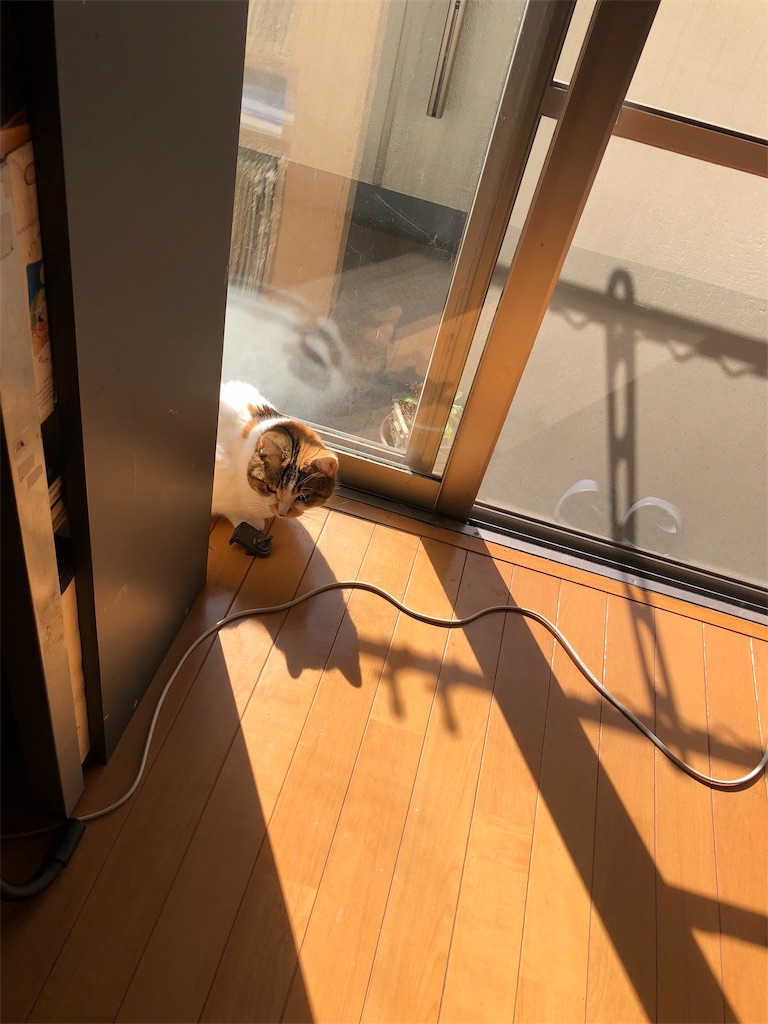 f:id:megmikke:20190227232041j:image