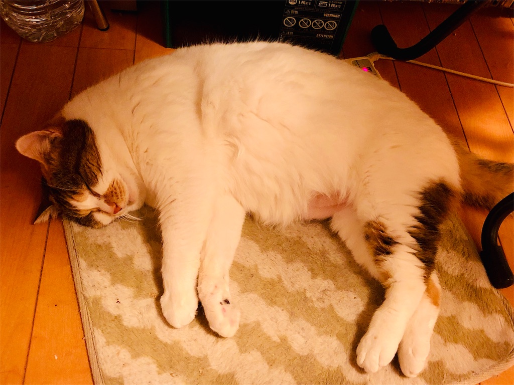 f:id:megmikke:20190227232233j:image