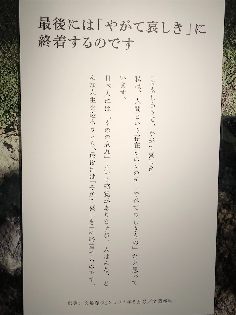f:id:megmikke:20190323011846j:image f:id:megmikke:20190323011846j:image