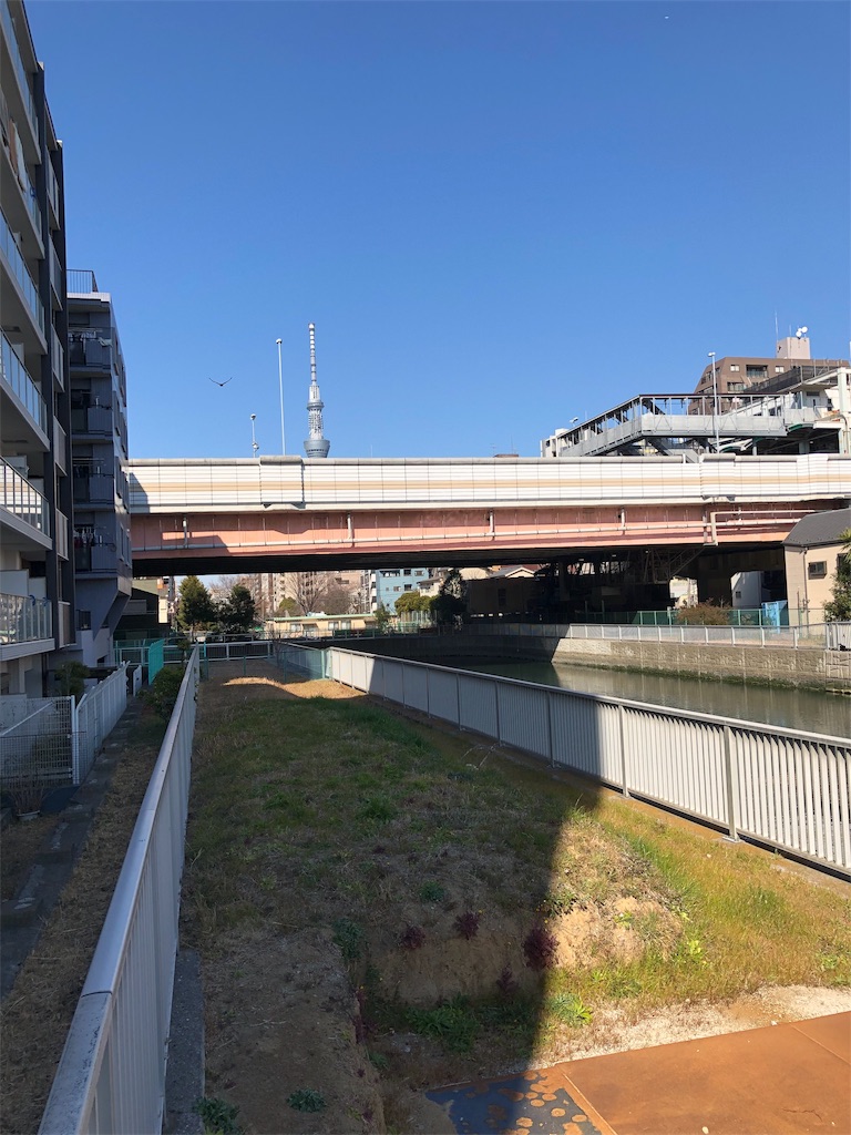 f:id:megmikke:20190323221055j:image
