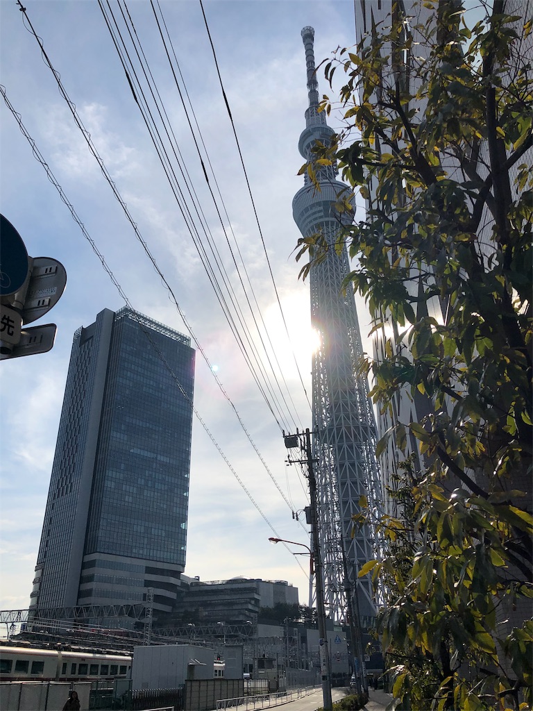 f:id:megmikke:20190323223016j:image