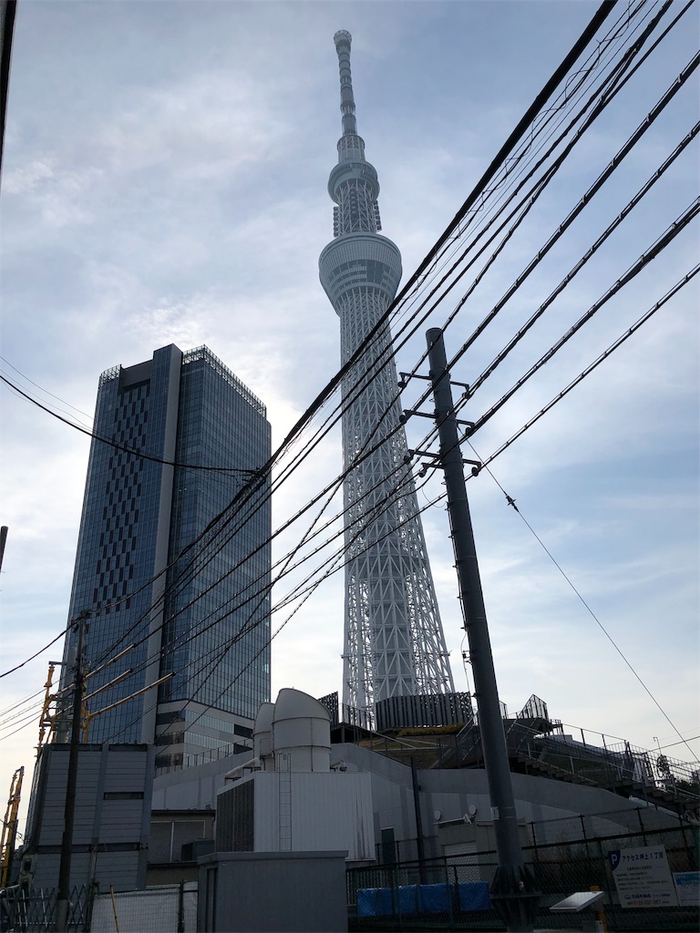 f:id:megmikke:20190323223021j:image