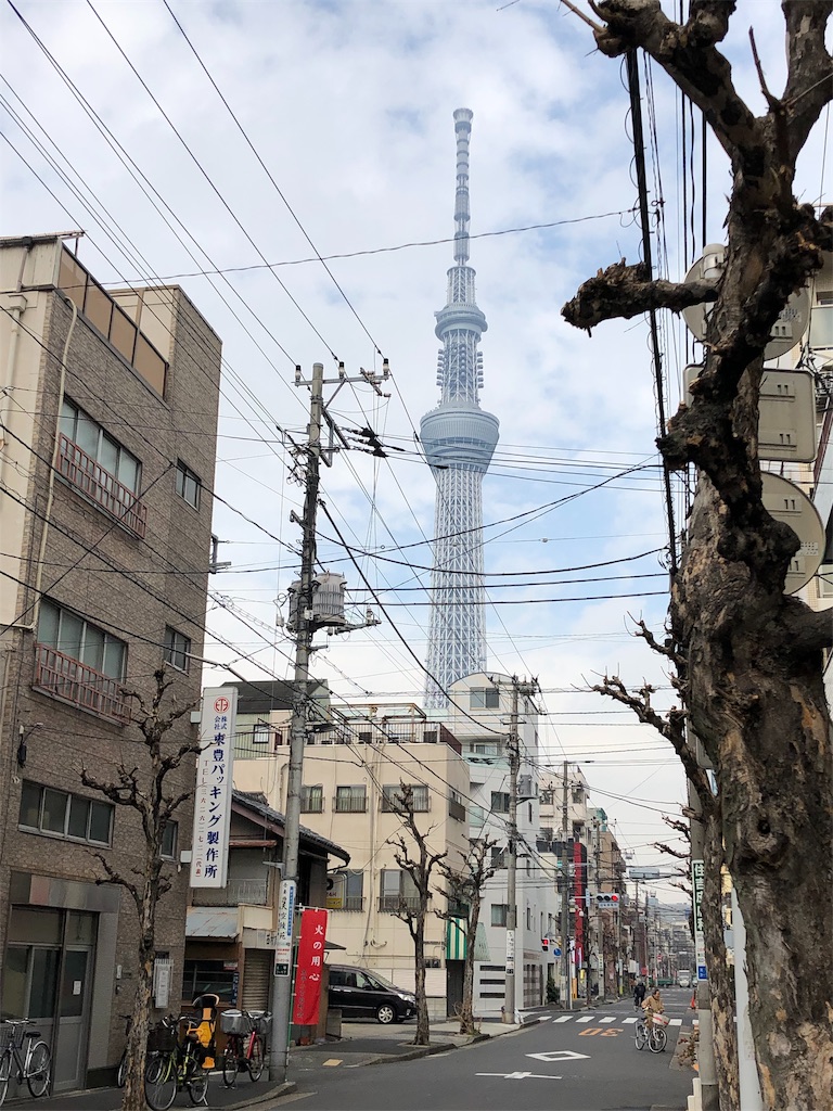 f:id:megmikke:20190323223123j:image
