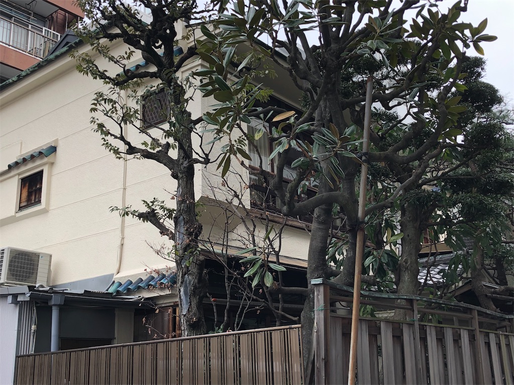 f:id:megmikke:20190323223544j:image