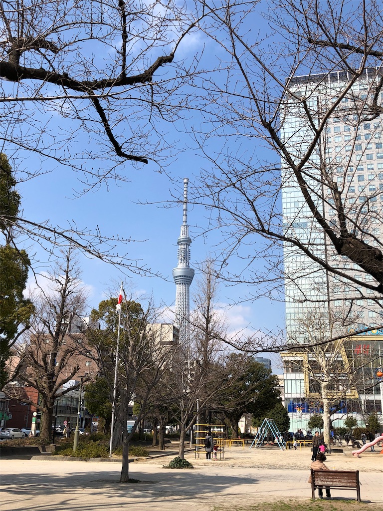 f:id:megmikke:20190323225501j:image