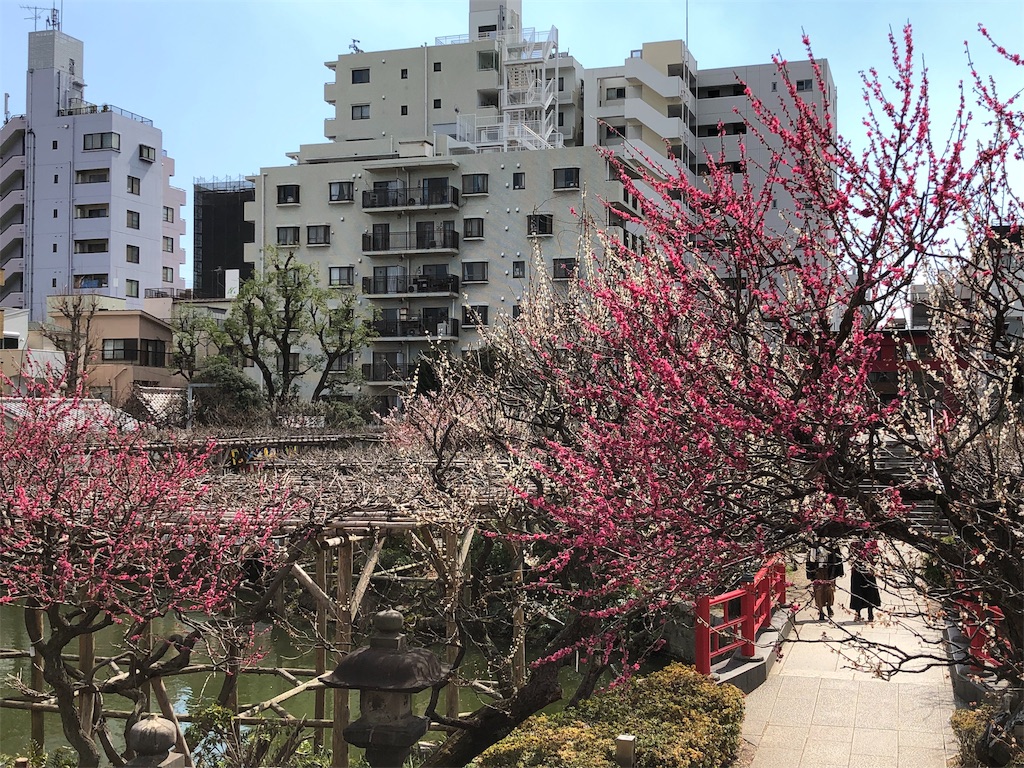 f:id:megmikke:20190323231403j:image