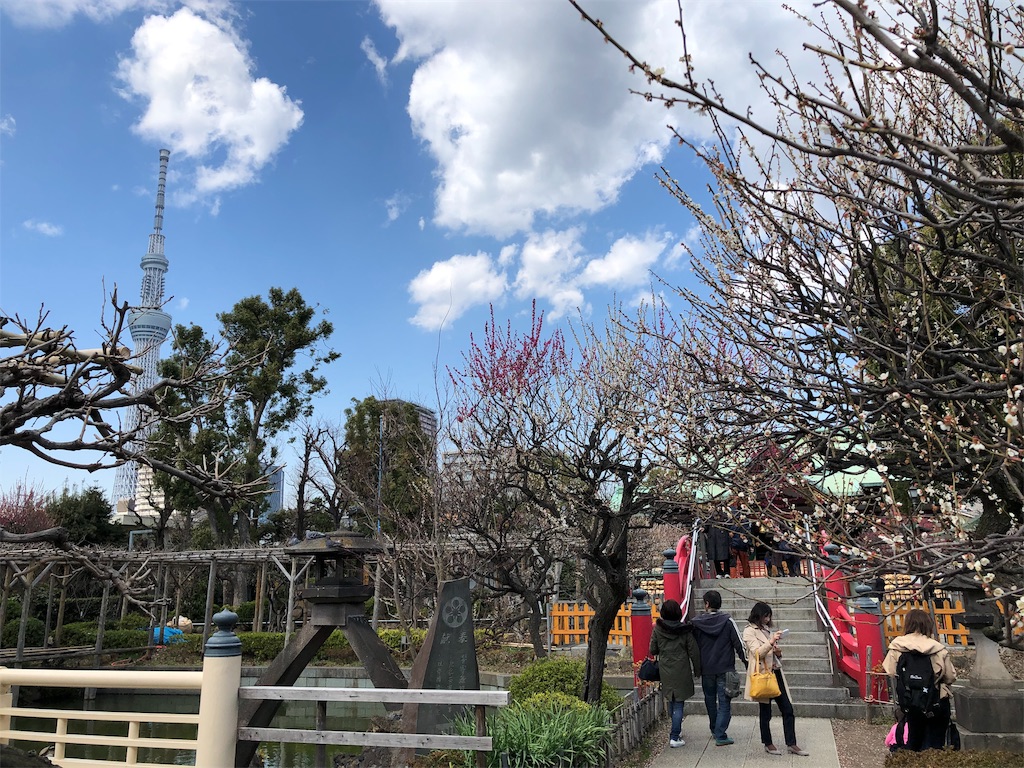 f:id:megmikke:20190323231418j:image