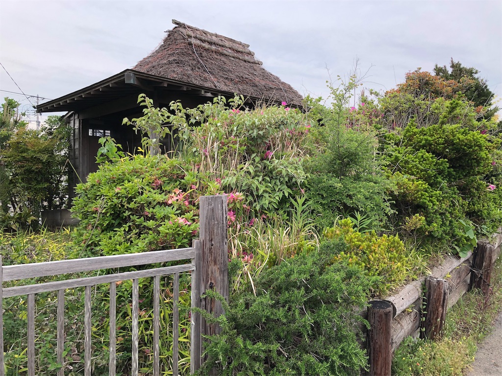 f:id:megmikke:20190506192524j:image