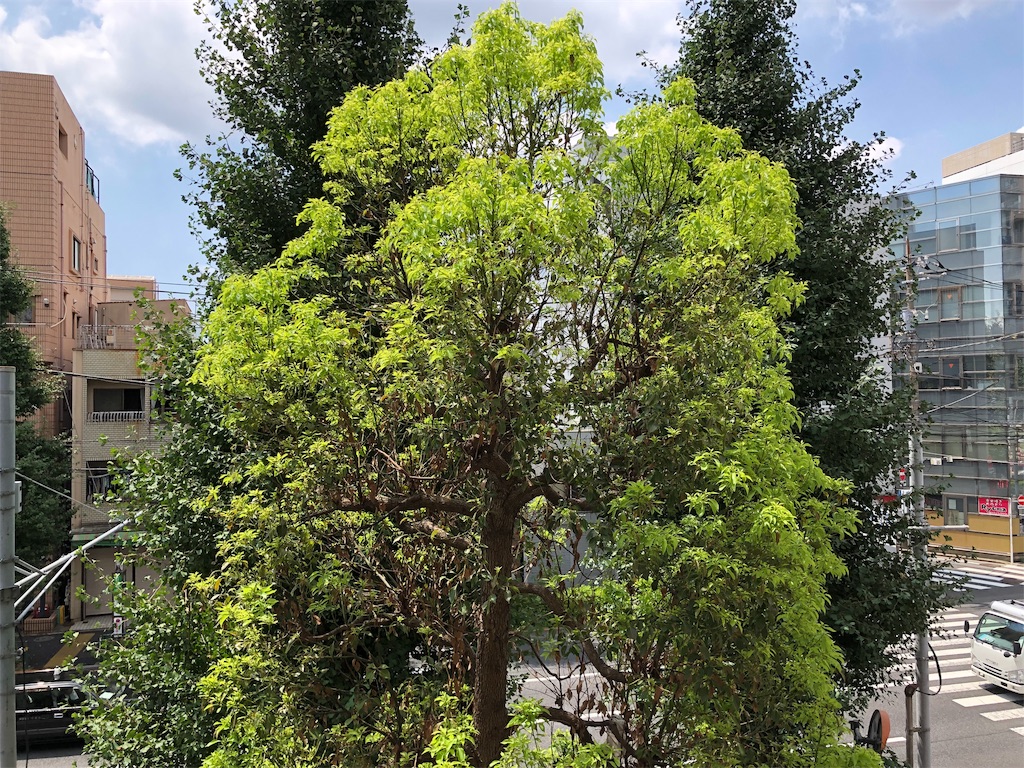 f:id:megmikke:20190907215945j:image f:id:megmikke:20190907215945j:image