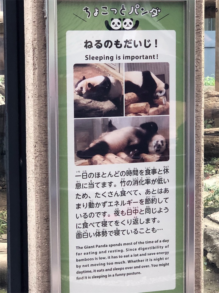 f:id:megmikke:20190921135148j:image