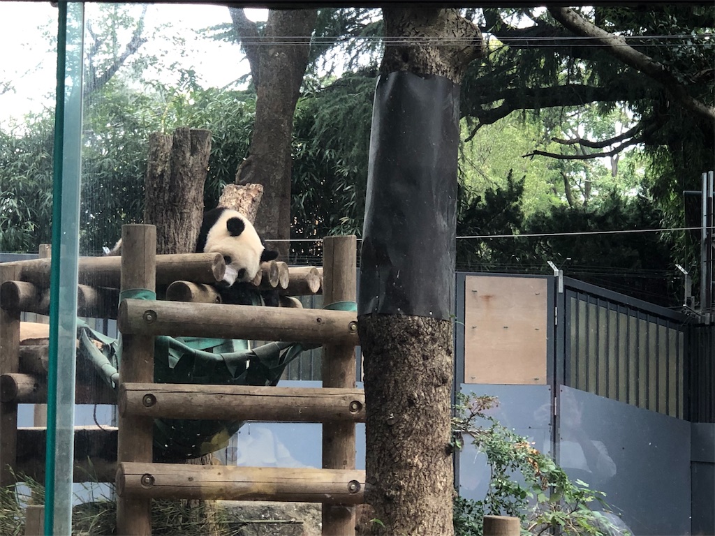 f:id:megmikke:20190921135153j:image