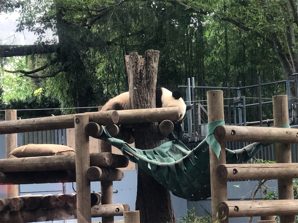 f:id:megmikke:20190921135204j:image