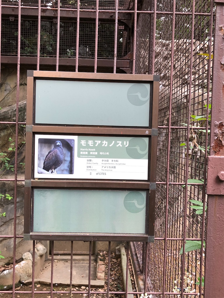f:id:megmikke:20190921141253j:image
