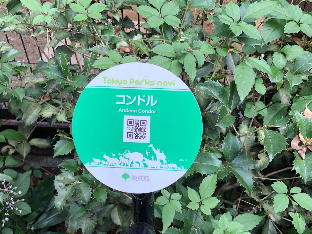 f:id:megmikke:20190921141305j:image