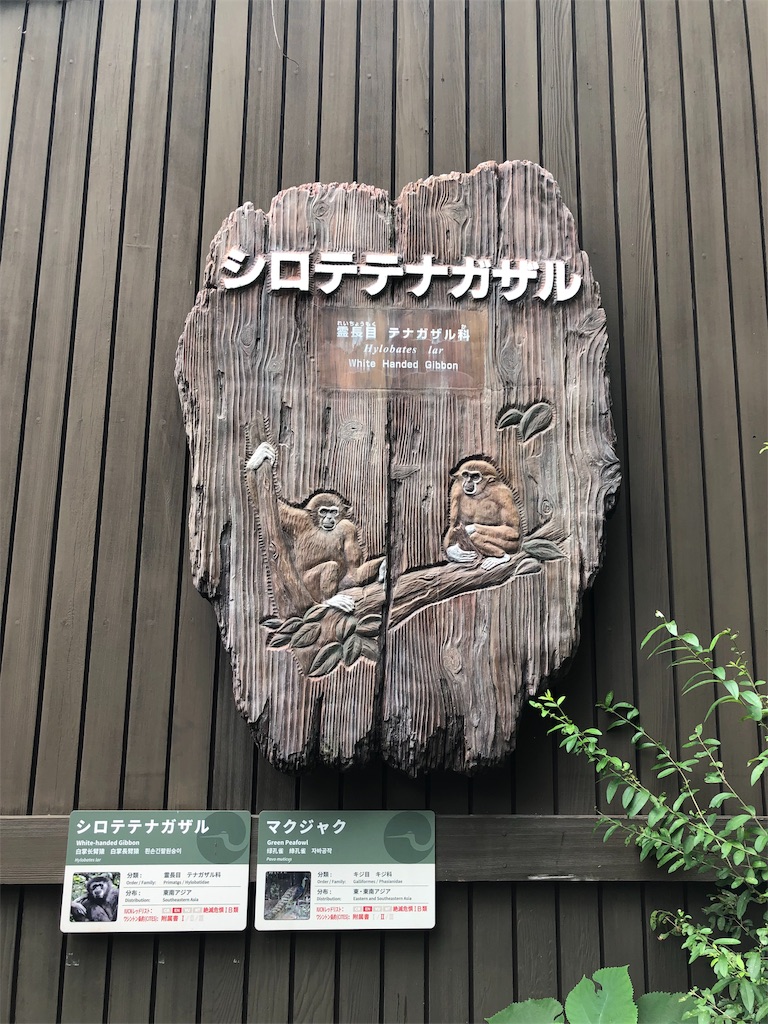 f:id:megmikke:20190921141620j:image