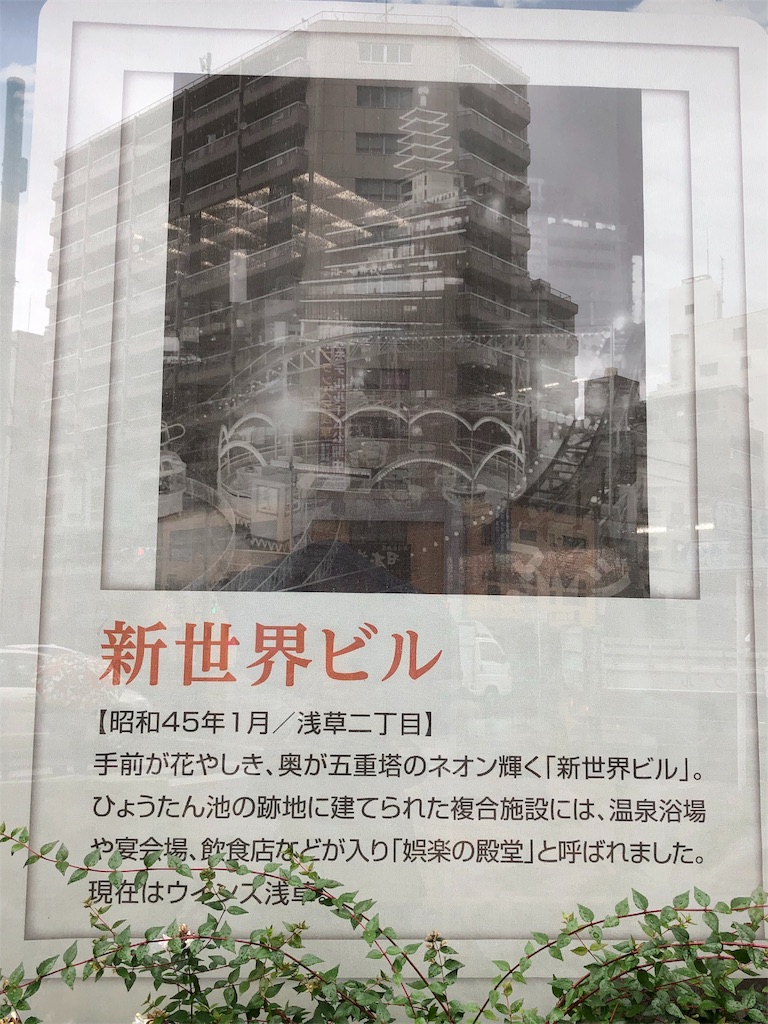 f:id:megmikke:20190921150804j:image