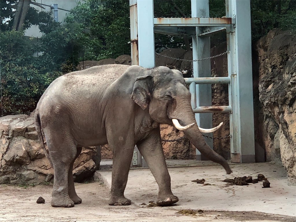 f:id:megmikke:20190921231607j:image