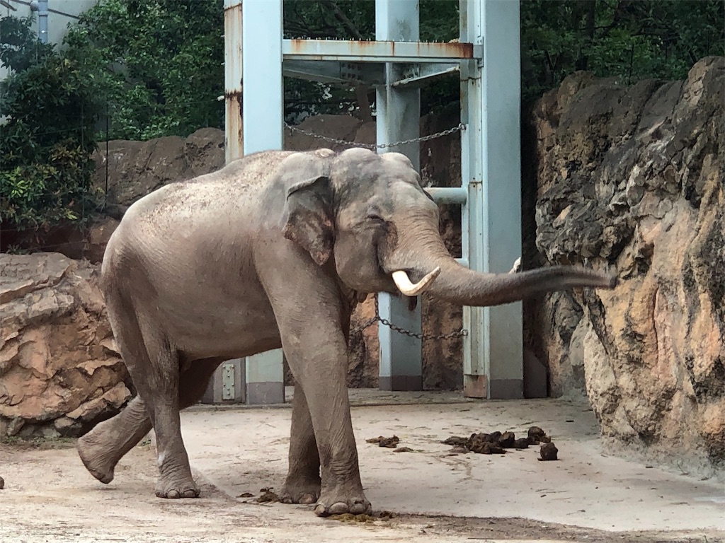 f:id:megmikke:20190921231611j:image