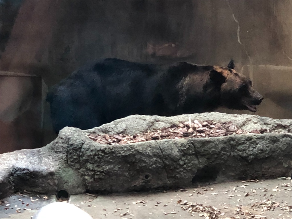 f:id:megmikke:20190921231852j:image