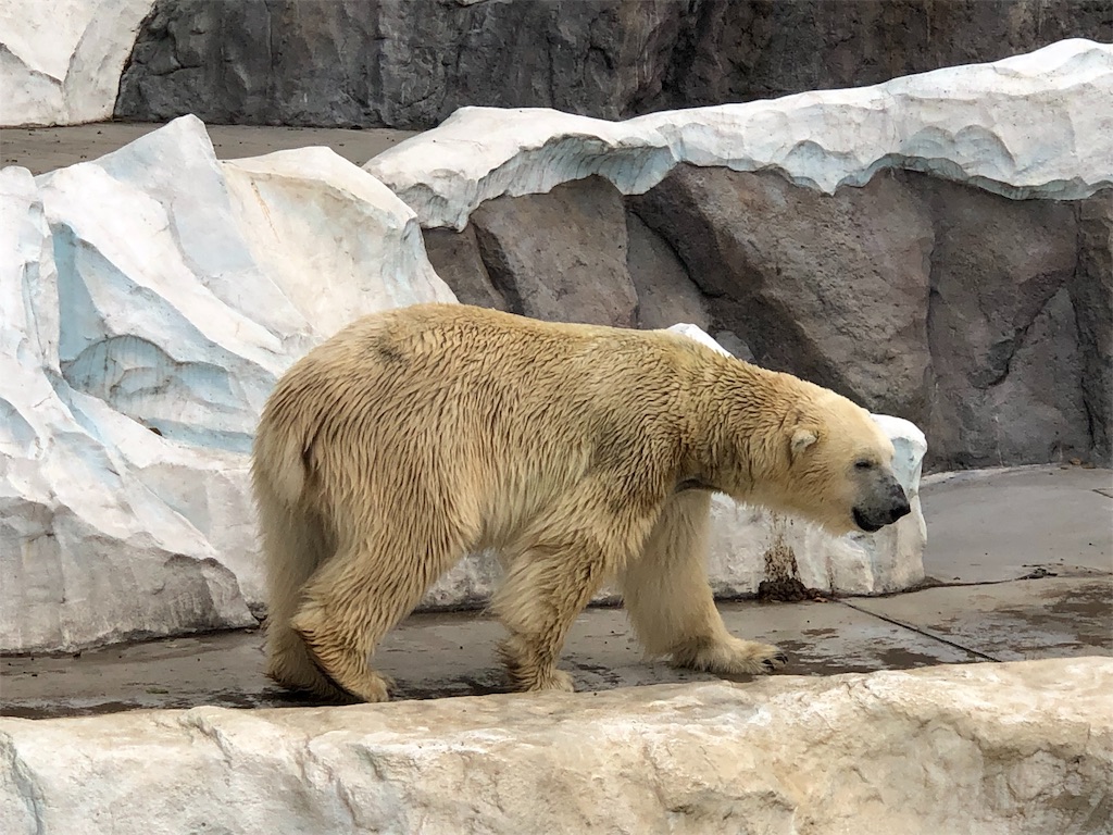 f:id:megmikke:20190921232459j:image