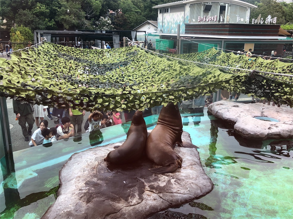 f:id:megmikke:20190921233129j:image
