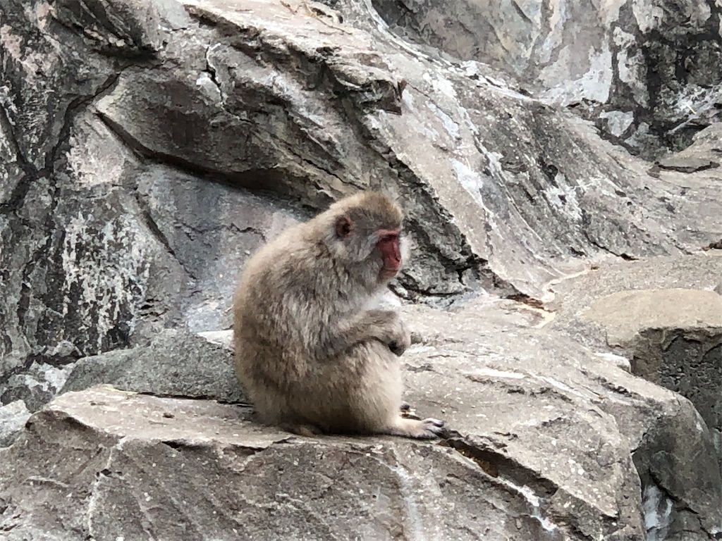 f:id:megmikke:20190921233546j:image