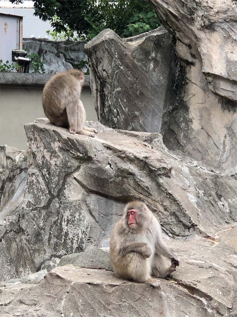 f:id:megmikke:20190921233555j:image